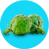 Alcachofa