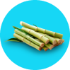Bambusa