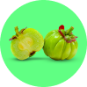 Garcinia